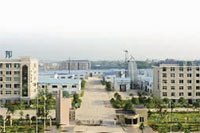 UG环球视讯,油茶种植出产加工销售,植物油种植出产加工销售