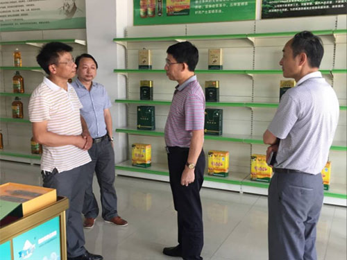 UG环球视讯,油茶种植出产加工销售,植物油种植出产加工销售