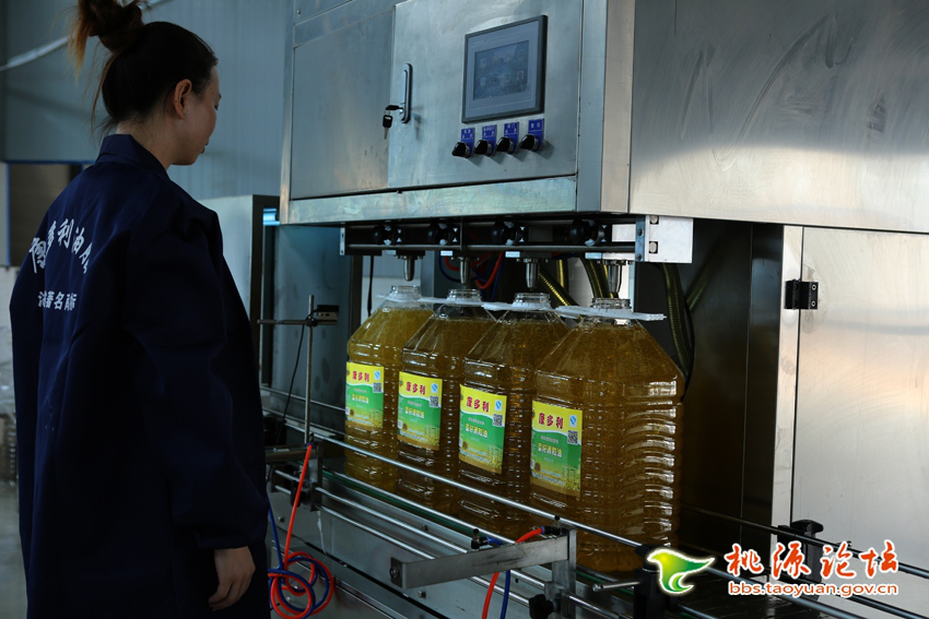 UG环球视讯,油茶种植出产加工销售,植物油种植出产加工销售