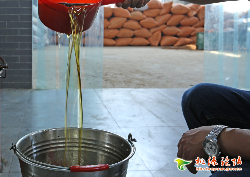 UG环球视讯,油茶种植出产加工销售,植物油种植出产加工销售