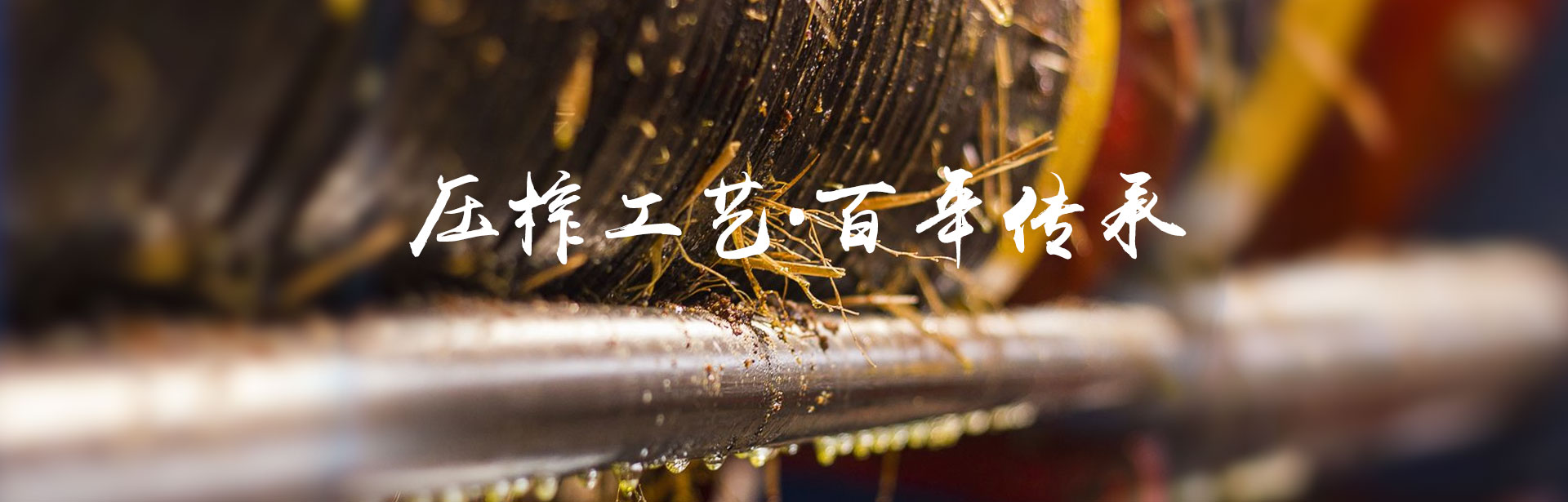 UG环球视讯_油茶种植出产加工销售|植物油种植出产加工销售