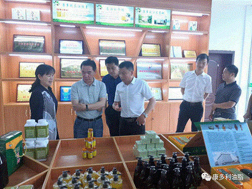 UG环球视讯,油茶种植出产加工销售,植物油种植出产加工销售